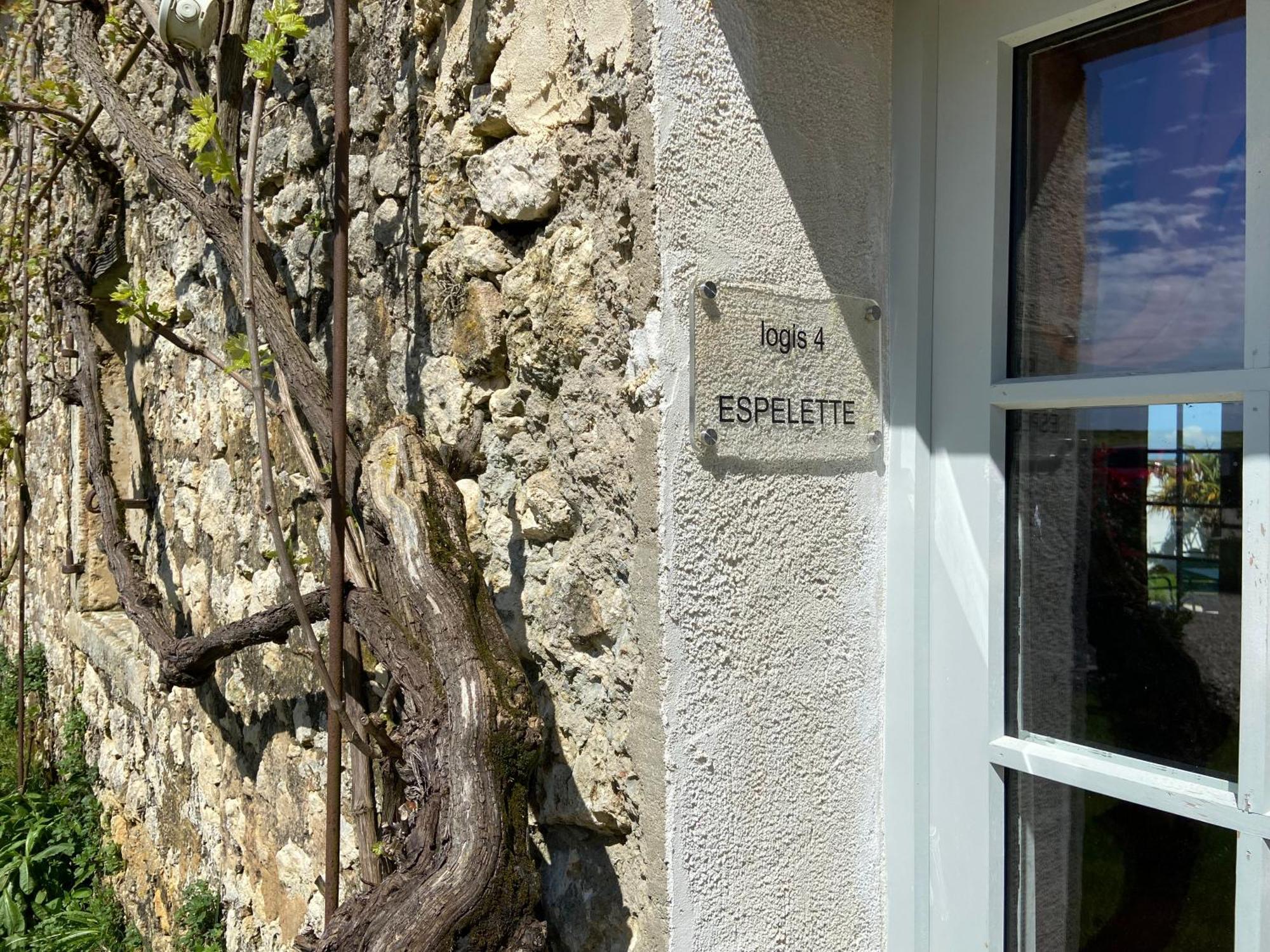 Chateau De Feusse Saint-Just-Luzac Eksteriør billede